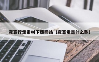 宣威寂寞行走素材下载网站（寂寞走是什么歌）